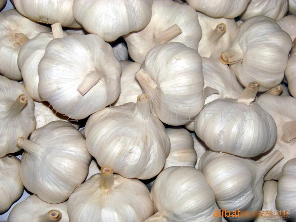 natural and normal garlic